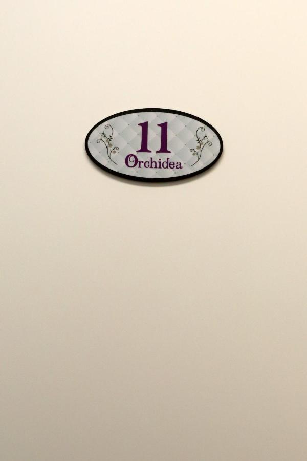 Orchidea Rooms & Suites Civitanova Marche Exterior photo